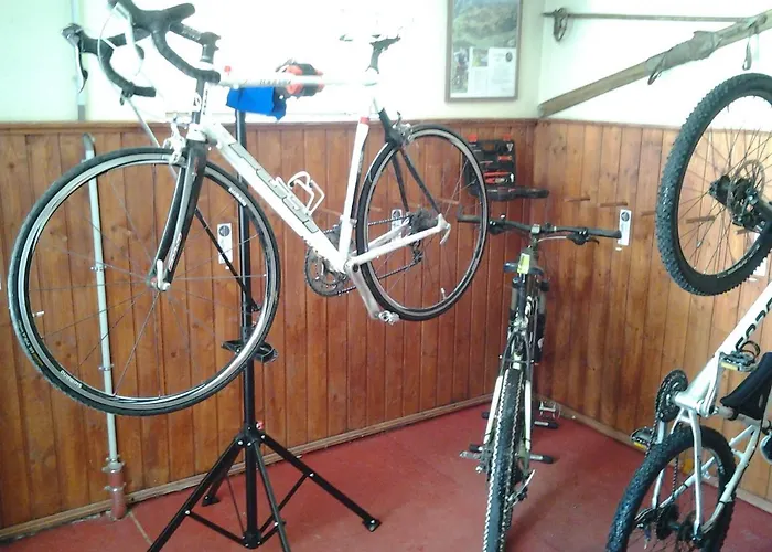 Starchenthof - Wildschoenau, Premiumcard Inclusive Apartment *